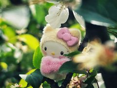 -嘉定紫藤园