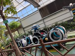 -南宫五洲植物乐园