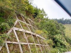 -大围山国家森林公园