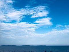 -演武大桥观景平台