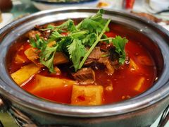 -伊兰麒兰馨园·川菜·清真馆(339电视塔店)