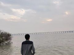 -宝安西湾红树林湿地公园