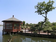 -鹅湖玫瑰文化园