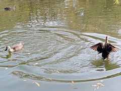 -索菲特西湖大酒店·香榭丽全日候餐厅(南山路店)