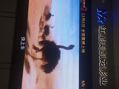 -红星电影世界上海张江绿地店