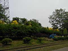 -永定河休闲森林公园