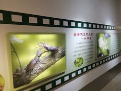 -上海昆虫博物馆