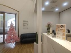 -YESIDO椰岛造型