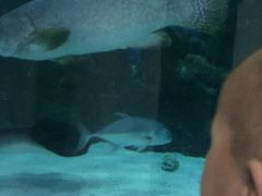 -苏州海洋馆