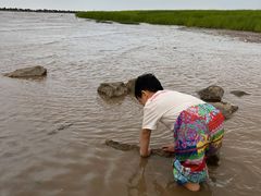 -南汇嘴观海公园