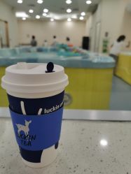 -四季宝贝婴幼儿水育成长中心(陆家嘴店)