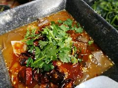 -七裕庄(凯旋南路店)