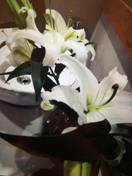 -FineYoga梵音瑜伽·普拉提