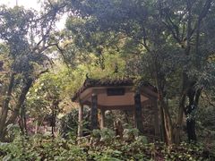 -飞霞风景名胜区