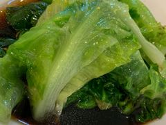 -东方饺子王(新奥购物中心店)