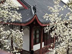 -堤角公园
