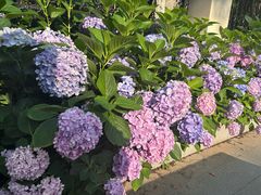 -江西老表·经典江西八大碗