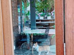-花间茶(华侨城创意园店)
