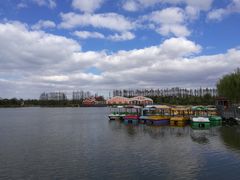 -上海长兴岛郊野公园