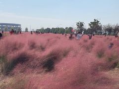 -映月湖中央公园