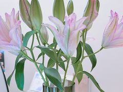 -华润置地大厦E座