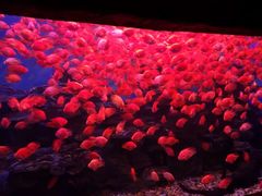 -多彩贵州城极地海洋世界