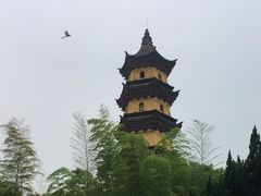 -阿育王寺
