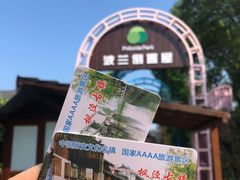 -金山农民画村-枫泾波兰倒置屋