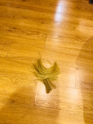 -潘多拉Hairsalon