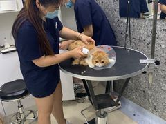-萌兽医馆·绝育·24小时内科·宠物医院(德胜店)