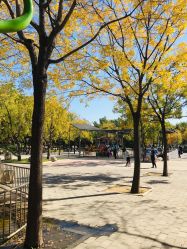 -大望京儿童游乐场