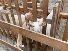 -太阳岛旅游度假区