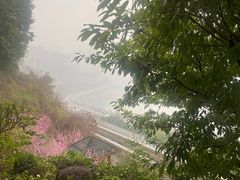 -新都巷步道