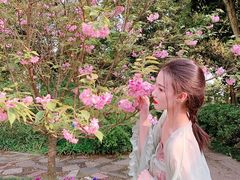 -南山植物园