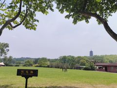 -宜兴龙背山森林公园