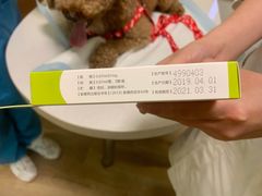 -派联宠物医院·24h·CT·异宠