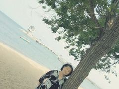 -兴城海滨风景区