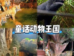 -长鹿旅游休博园