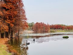 -厦门园林博览苑