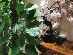 -菩提慧宾养生堂(梦幻亮点世界公园店)