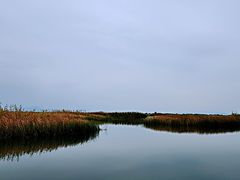-苏州太湖湖滨国家湿地公园