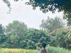 -成都市活水公园