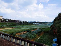 -南国桃园旅游度假区