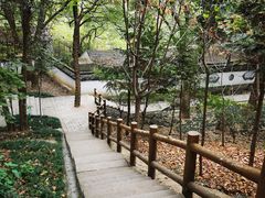 -上海佘山国家森林公园天马山园