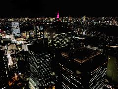 -东京都厅舍