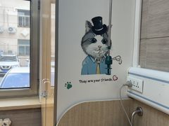 -北京观赏动物医院·24小时大型综合·猫专科·异宠专科