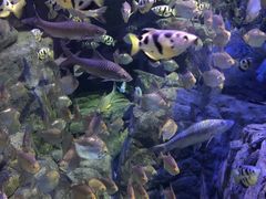 -成都浩海立方海洋公园