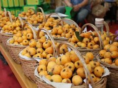 -塘栖枇杷特色园区