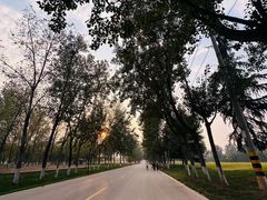 -汉长安城未央宫国家考古遗址公园