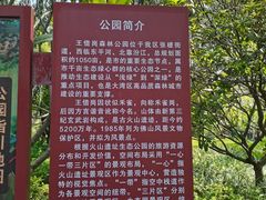 -王借岗森林公园